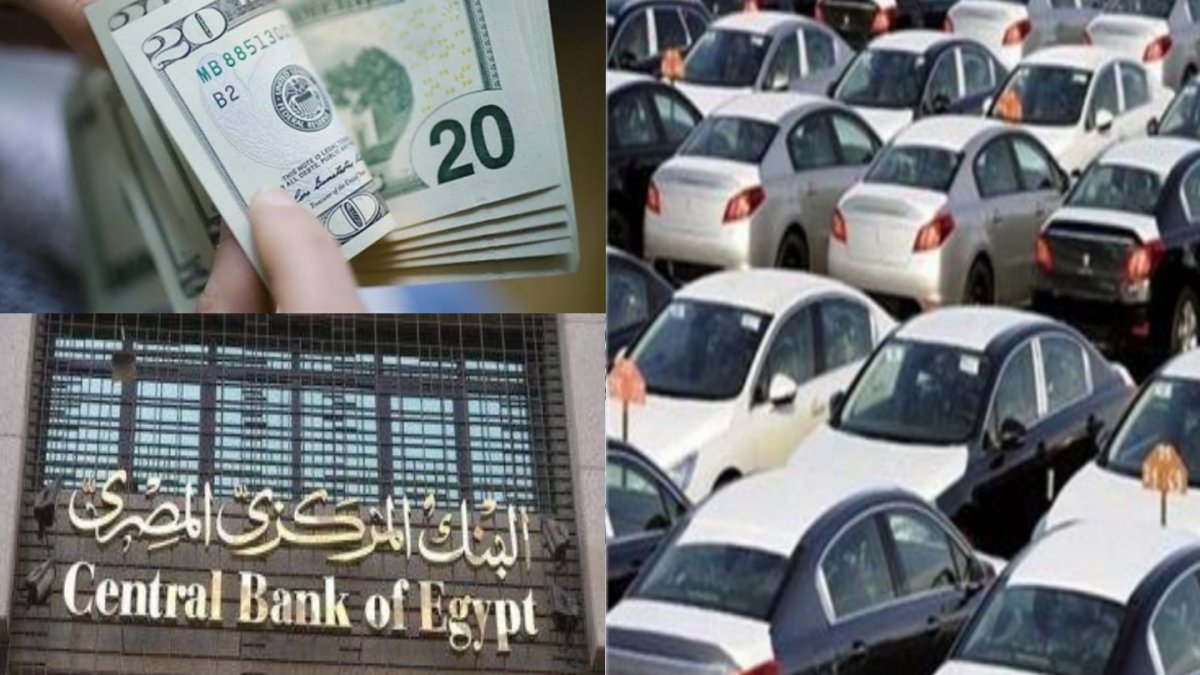 تراجع الجنيه المصري يدفع أسعار السلع والسيارات ومواد البناء للارتفاع