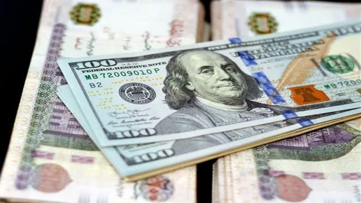 استقرار سعر الدولار في مصر اليوم الثلاثاء 21 يوليو 2026