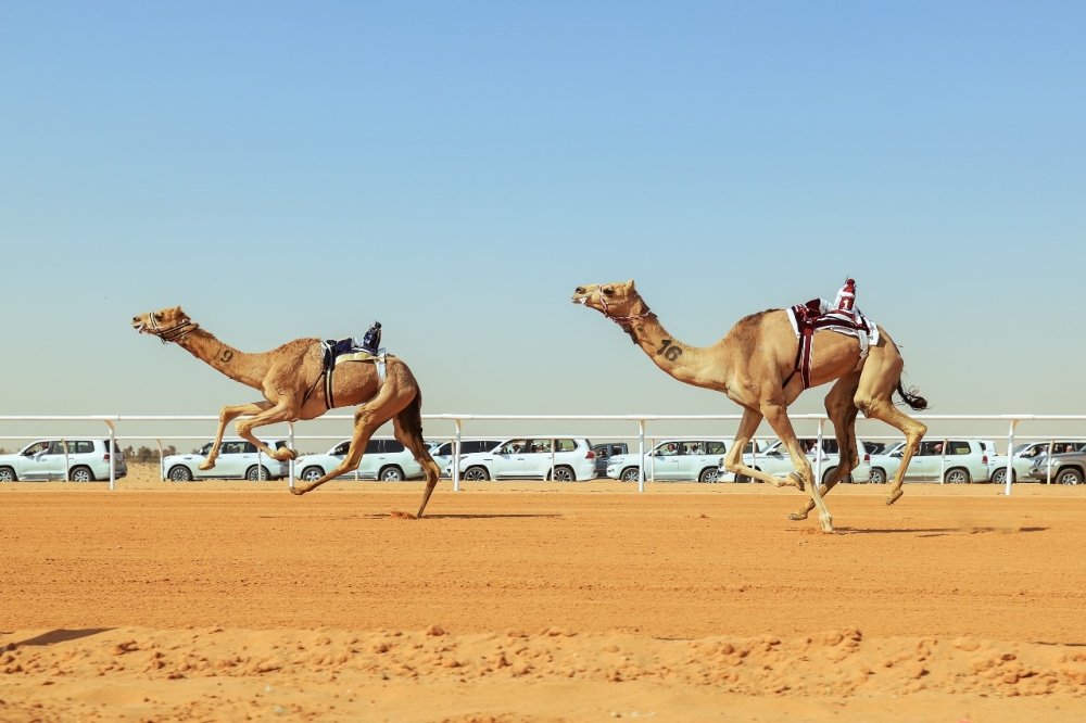 ميدان الجنادرية