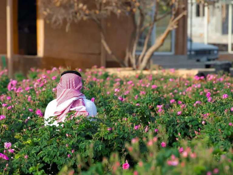ريف السعودية